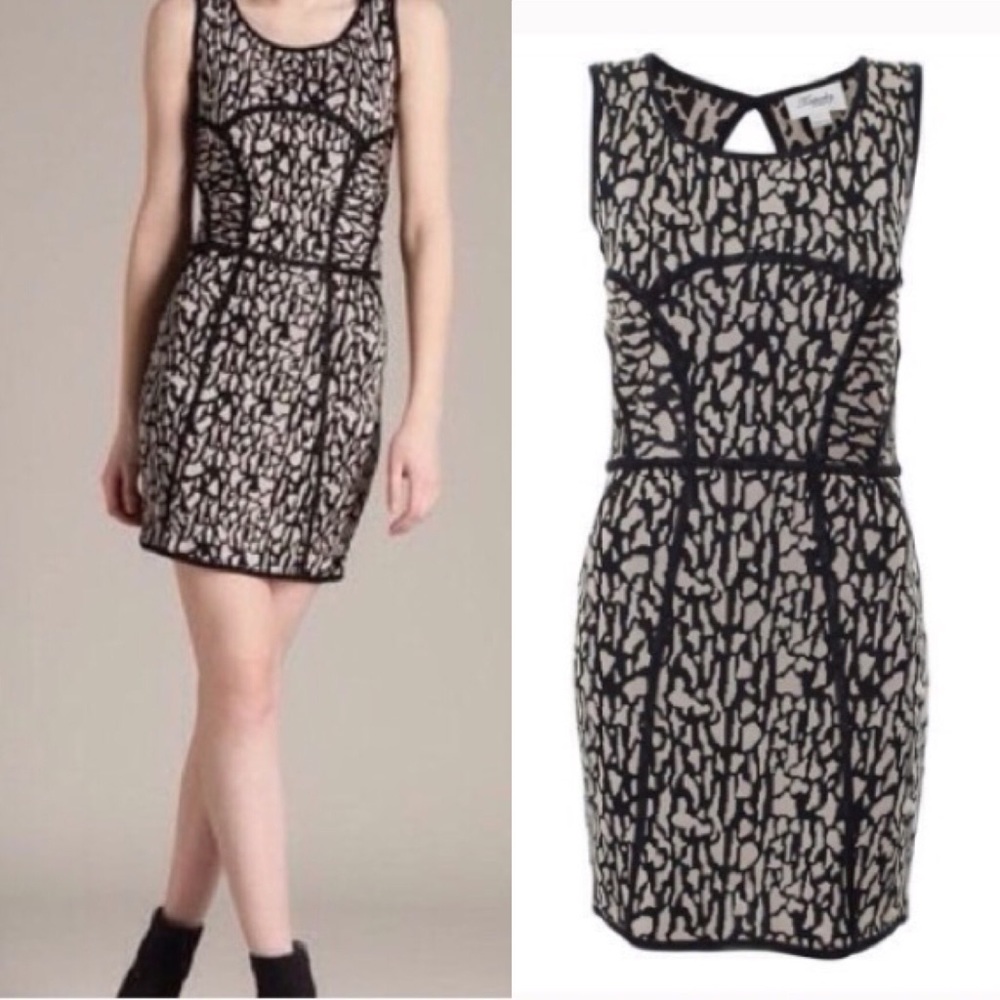 Temperley London 4 Leona Leopard sleeveless dress